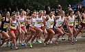2010CIF XC GD3-0447